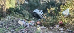खाई में जा गिरी ऑल्टो कार, चालक की दर्दनाक मौत