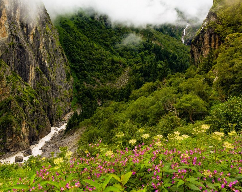 Valley of Flowers 1
