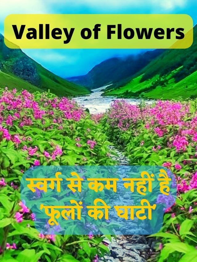 पर्यटकों के लिए खुली विश्व प्रसिद्ध धरोहर ‘फूलों की घाटी’ | Valley of Flowers