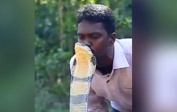 सांपों से दोस्ती करने के शौकीन युवक की कोबरा ने डस कर ले ली जान