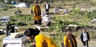 गांव में दिखाई नई राह