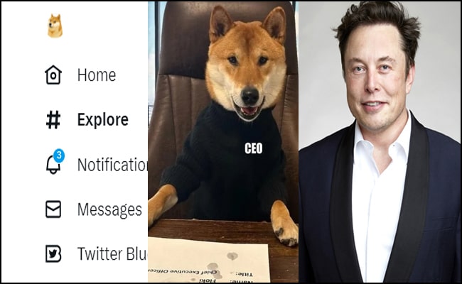 Twitter पर ब्लू बर्ड की जगह नजर आ रहा ‘कुत्ता’,मस्क ने बदला ट्विटर का लोगो