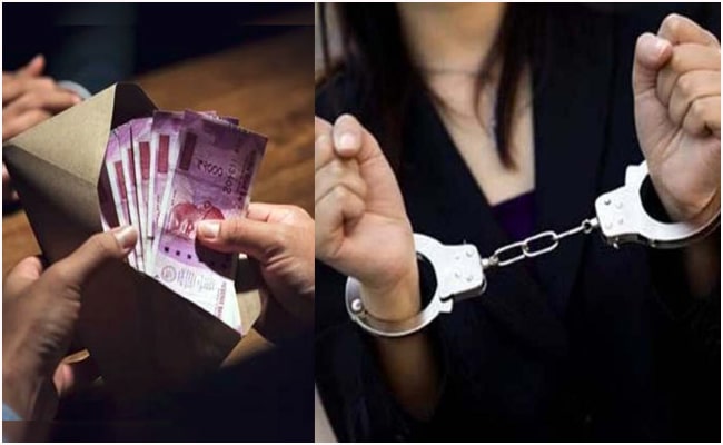 ब्रेकिंग अपडेट : महिला लेखपाल 20 हजार रुपये की रिश्वत लेते गिरफ्तार