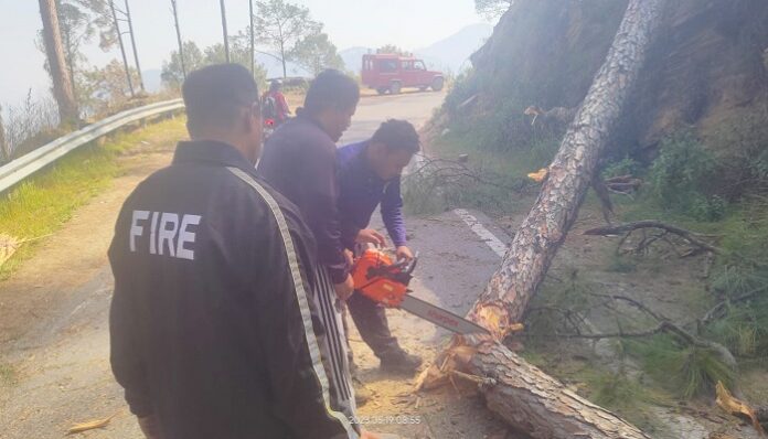 विशाल पेड़ राजमार्ग पर धराशायी, दो घंटे यातायात ठप