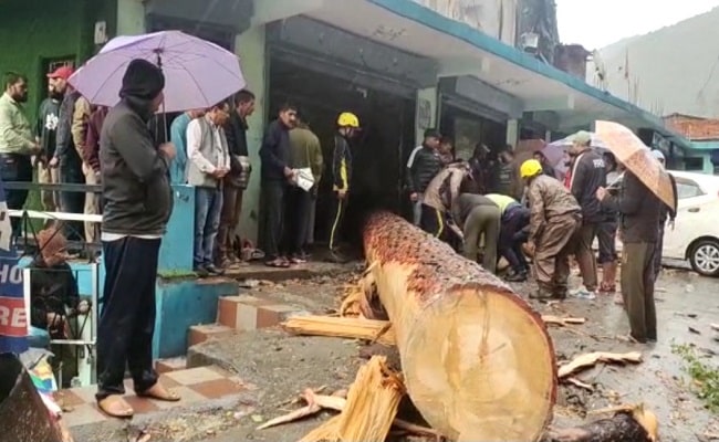 Uttarakhand : बिगड़ा मौसम… होटल के उपर पेड़ गिरने से महिला की मौत