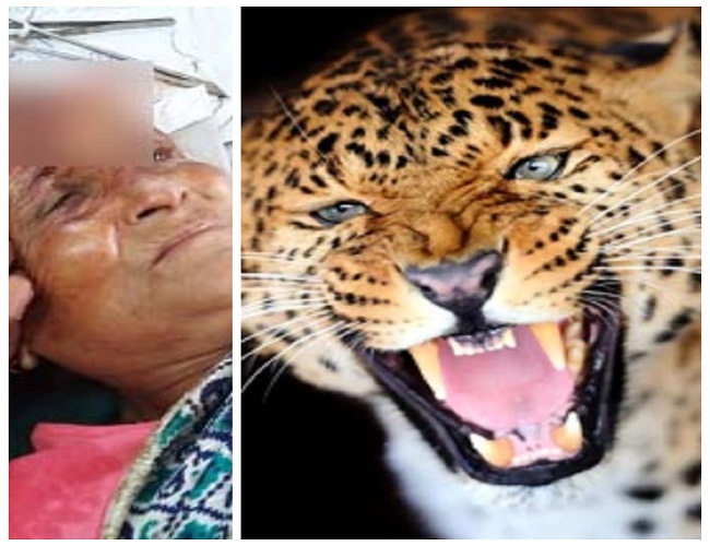 लैपर्ड से भिड़ गई 65 साल की कमला देवी