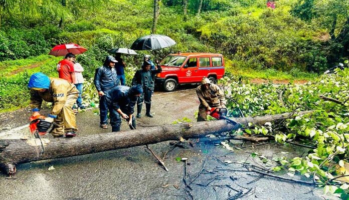 विशालकाय पेड़ सड़क पर धराशायी, भारी मशक्कत से हटाया