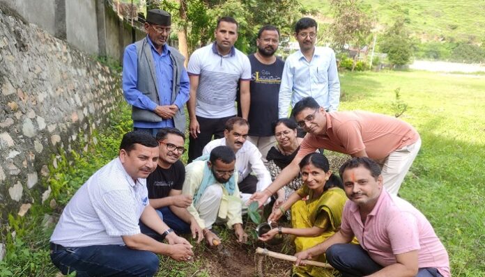 म​हर्षि विद्या मंदिर बिलौना में रोपे विविध प्रजाति के पौधे