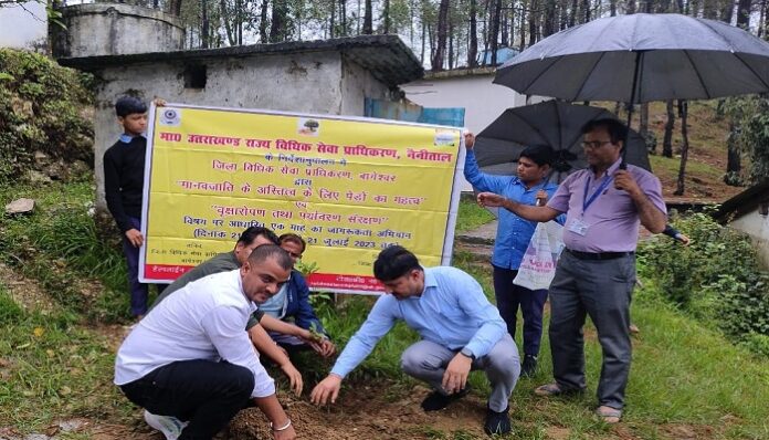 भंतोला व कमेड़ीदेवी में रोपे गए पौधे