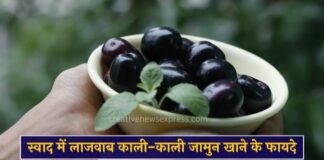 स्वाद में लाजवाब काली-काली जामुन खाने के फायदे पढ़ें | Benefits of Jamun