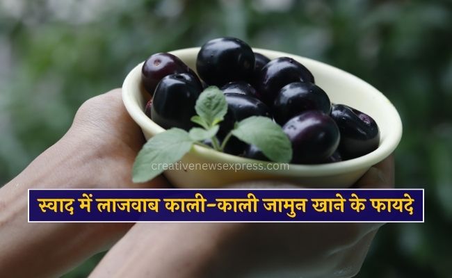 स्वाद में लाजवाब काली-काली जामुन खाने के फायदे पढ़ें | Benefits of Jamun