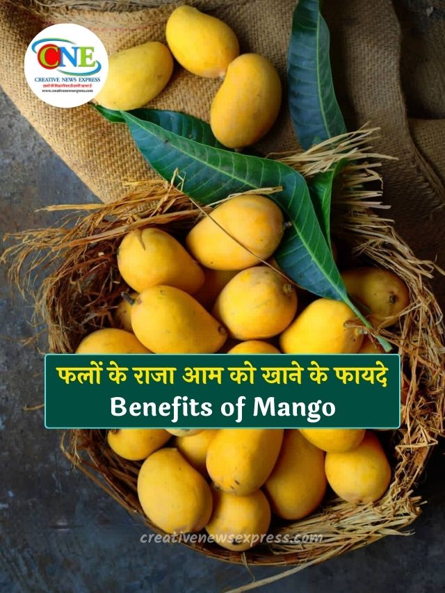 फलों के राजा आम को खाने के फायदे | Benefits of Mango