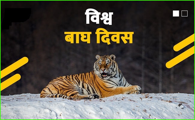रामनगर : बाघ दिवस पर कॉर्बेट पार्क में बाघिन की मौत, पुल के नीचे मिला शव