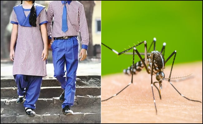 हल्द्वानी : डेंगू-मलेरिया का अलर्ट, स्कूलों में फुल पैंट-शर्ट पहनकर आने को कहा