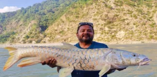 अल्मोड़ा के मोहन रयाल ने पकड़ी 19 किलो की गोल्डन महाशीर, ट्रॉफी अपने नाम की