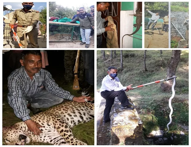 An Animal Rescuer Bhuvan Lal : अपनी जान पर खेल जाता है यह शख्स