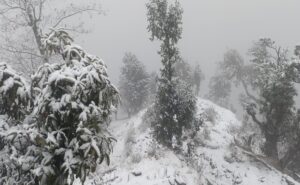 बागेश्वर जिले के ऊंची पहाड़ियों में बिछी मोटी सफेद चादर