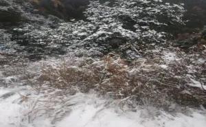 First snowfall of the season in Nainital