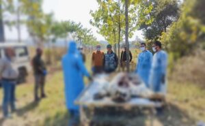Nainital News : ढेला रेस्क्यू सेंटर में रखी बाघिन की मौत