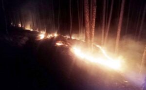 वन विभाग फिसड्डी साबित, नियंत्रण से बाहर जंगलों की आग !