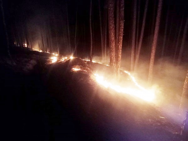 वन विभाग फिसड्डी साबित, नियंत्रण से बाहर जंगलों की आग !