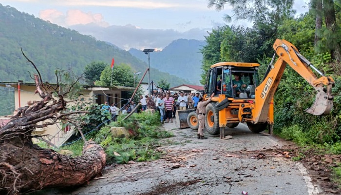 कुछ देर पहले रनमन पर पेड़ सड़क पर गिरा