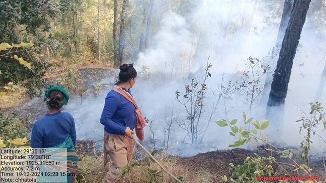 छतोला वन पंचायत के जंगलों में भीषण आग