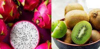 उत्तराखंड में कीवी और ड्रैगन फ्रूट की खेती होगी; प्रोत्साहन राशि दी जाएगी