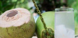 नारियल पानी पीने के 10 फायदे; गर्मी के लिए है अमृत, न्यूट्रिशनिस्ट से जानें कितना पीना सुरक्षित और किन्हें नहीं पीना चाहिए