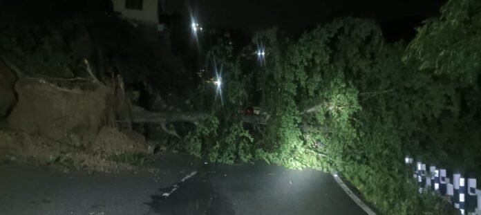 पेड़ गिरा बाल-बाल बचे कांस्टेबल