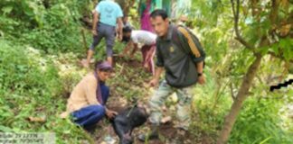 क्वारब–सिरसा क्षेत्र में गुलदार का आतंक