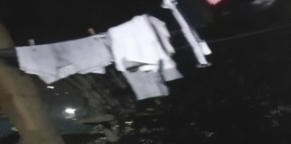 अल्मोड़ा के उप्रेती खोला में 2 तेंदुए कैमरे में हुए कैद