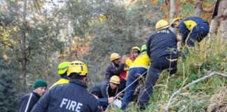 अल्मोड़ा: 250 मीटर गहरी खाई में गिरी कार