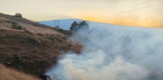 विज्ञान केंद्र अल्मोड़ा के पास आग, तुरंत एक्शन से टला बड़ा हादसा