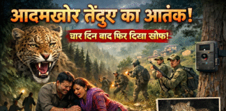 फिर लौटा वो खूनी तेंदुआ! धारी ब्लॉक में रोंगटे खड़े करने वाली आहट