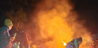 तीन जंगलों में आग की घटनाएं, फायर टीमों ने दिया सूझबूझ का परिचय