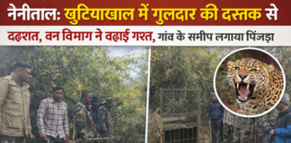 नैनीताल: खुटियाखाल में गुलदार की दस्तक से दहशत