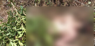 नदी के पास मिला अज्ञात पुरुष का नग्न शव, शरीर पर गुदा है 'ॐ'