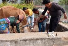 बागेश्वर में श्वेत क्रांति की दस्तक: दुग्ध उत्पादन में 34% का उछाल बागेश्वर में श्वेत क्रांति की दस्तक