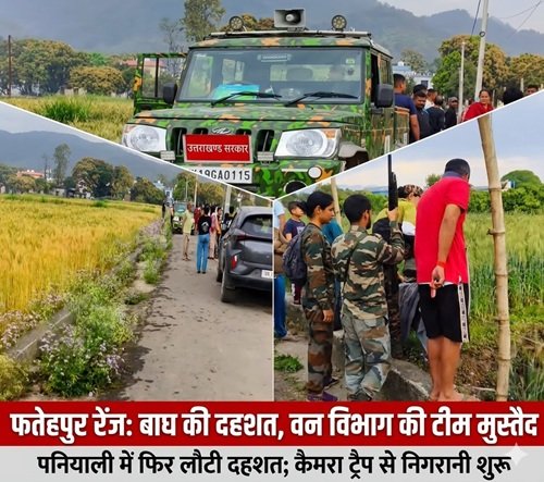 leopard or tiger फतेहपुर रेंज में फिर लौटी बाघ की दहशत