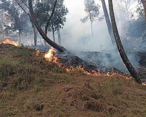 21almp1 बढ़ते पारे के साथ आग की घटनाओं ने बढ़ाई टेंशन