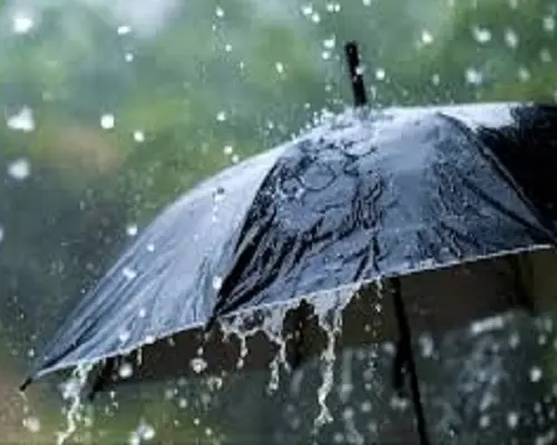 29almp5 मौसमी मार: तेज आंधी ने उड़ाई नींद, गरुड़-दुगनाकुरी की रातभर बत्ती गुल