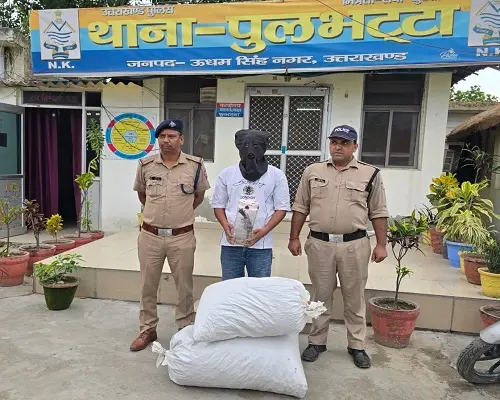 16.560 किग्रा डोडा, एक देशी तमंचा व 10 जिंदा कारतूस बरामद, आरोपी गिरफ्तार