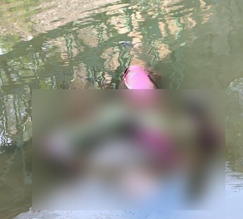 new photo कोसी नदी में मिला लापता महिला का शव