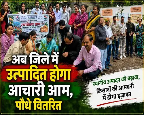 16almp3 जिले में 25 हेक्टेअर क्षेत्र रामकेला आम से होगा आच्छादित