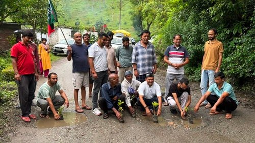 23 alm 1 धौलछीना-शेराघाट सड़क की बदहाली पर फूटा ग्रामीणों का आक्रोश, गड्ढे में रोपा पौधा