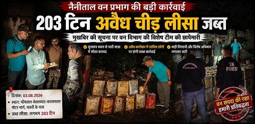 lisa jabat बड़ी कार्रवाई: अवैध चीड़ लीसा कारोबार का भंडाफोड़, भारी मात्रा में लीसा जब्त