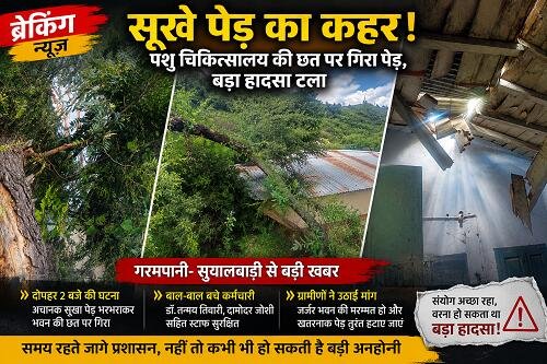 sukha ped पशु चिकित्सालय की छत पर गिरा सूखा पेड़