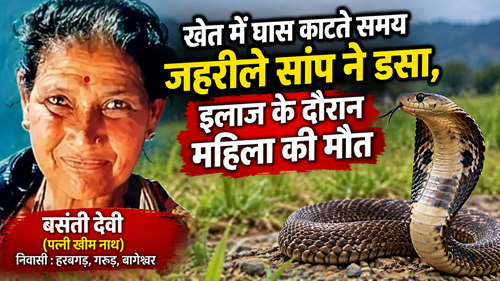 sarp dansh खेत में घास काटते समय जहरीले सांप ने डसा