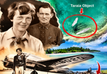 Amelia Earhart Mystery: 9 लाख डॉलर खर्च, पांच दिन का समुद्री सफर और अंत में…. क्या है 89 साल पुराने रहस्य की कहानी ? Amelia Earhart Mystery